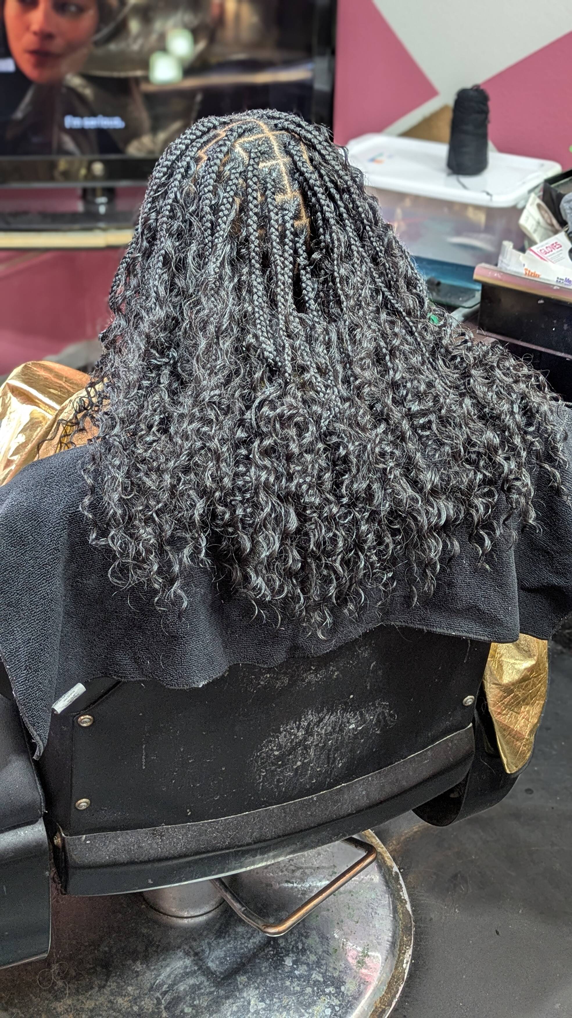 Precious Braids and Locs in Winter Park, FL (3)