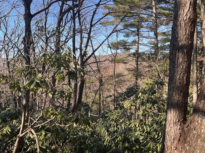Virginia Mountain Realty in Hillsville, VA (3)