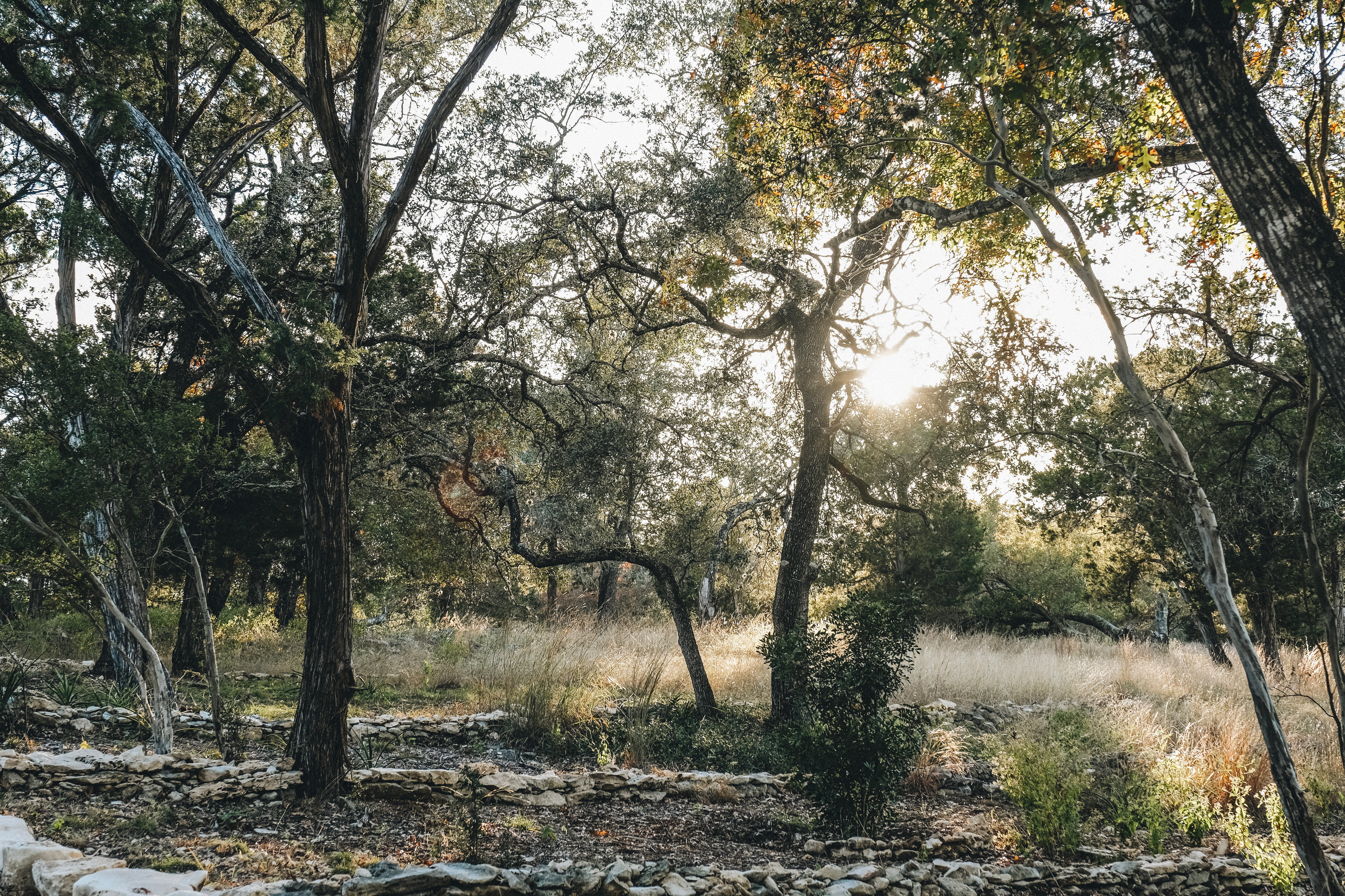 Back To The Land | Andrew Ashmore | Realtor in Fischer, TX