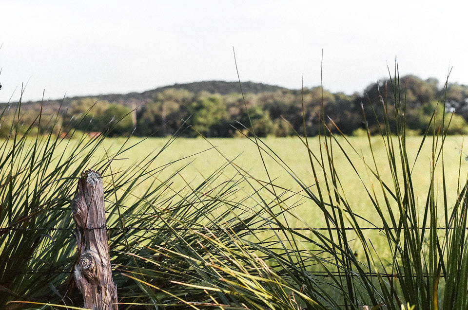 Back To The Land | Andrew Ashmore | Realtor in Fischer, TX (4)