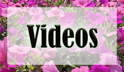 Honeymoon Acres in New Holstein, WI