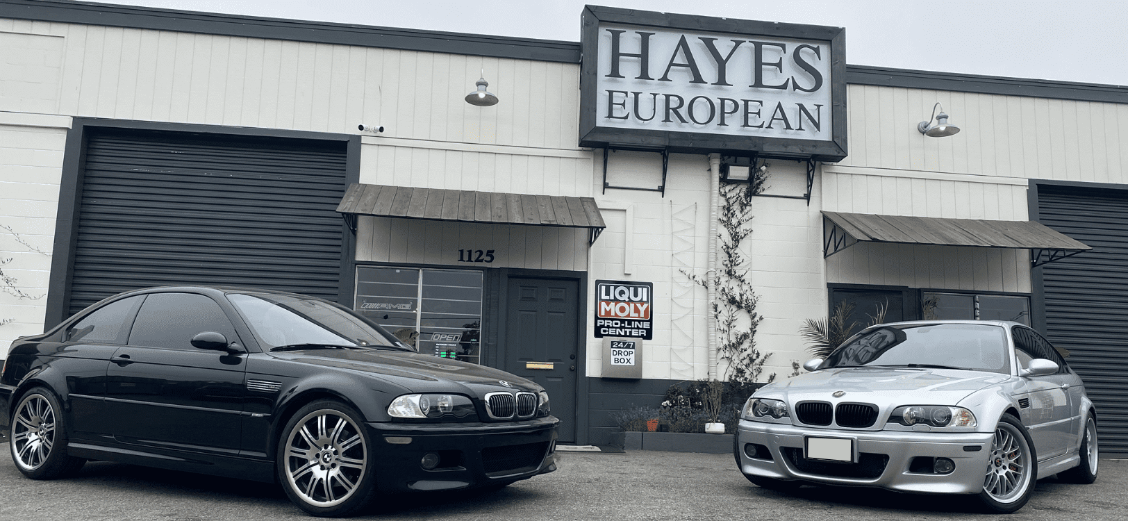 Hayes European in Santa Cruz, CA