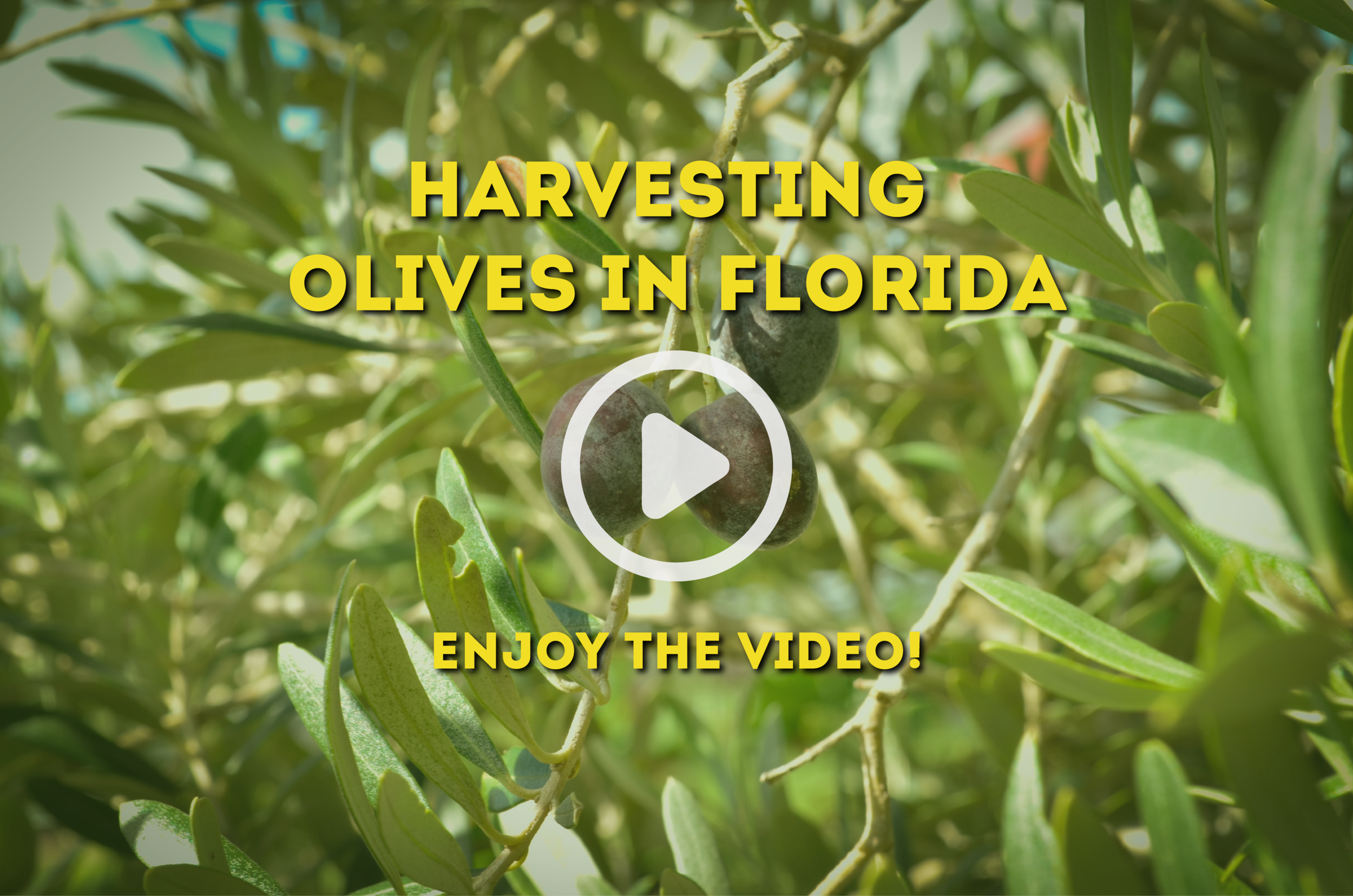 A Natural Farm and Educational Center in Howey-In-The-Hills, FL