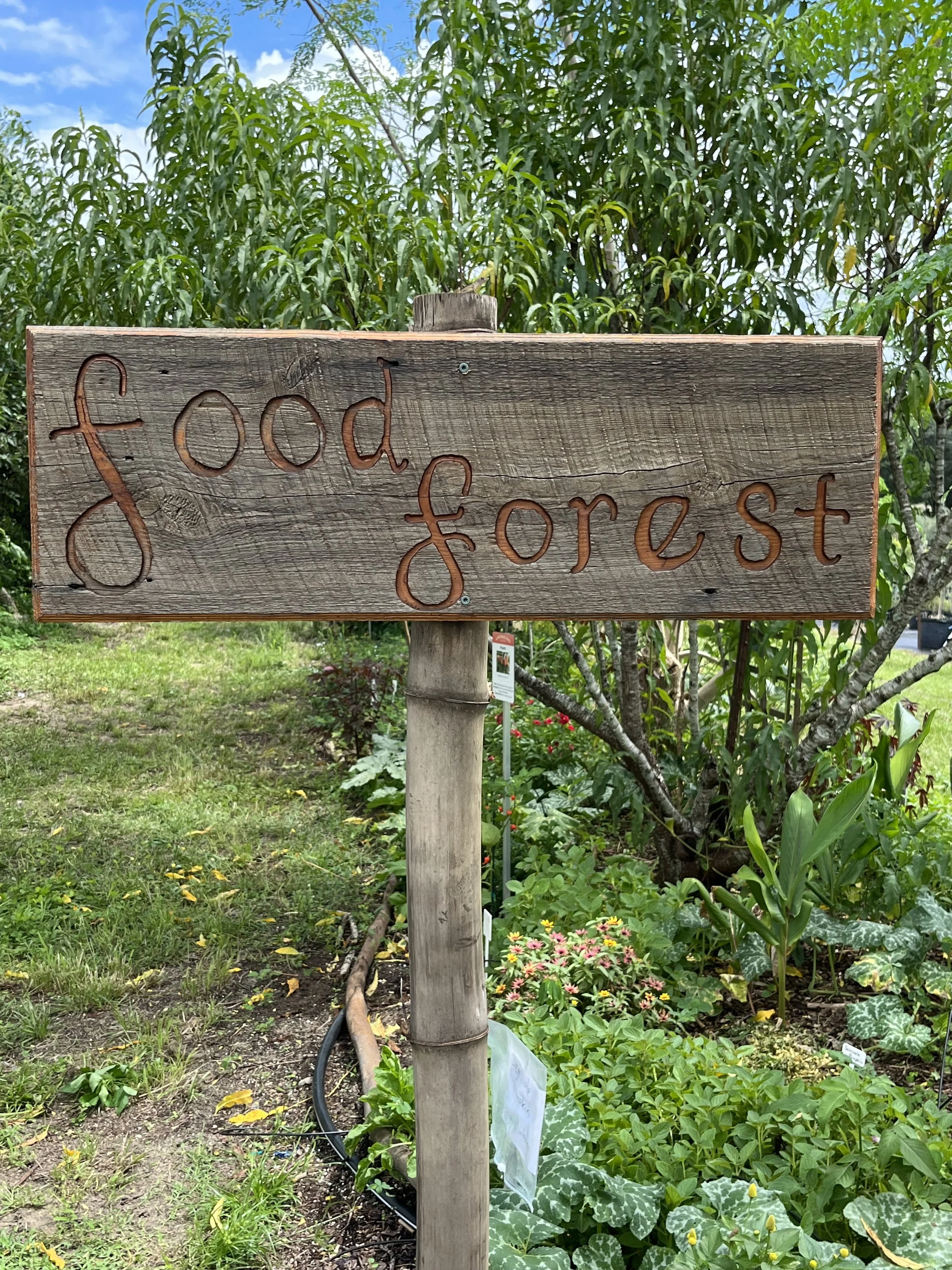 A Natural Farm and Educational Center in Howey-In-The-Hills, FL (4)