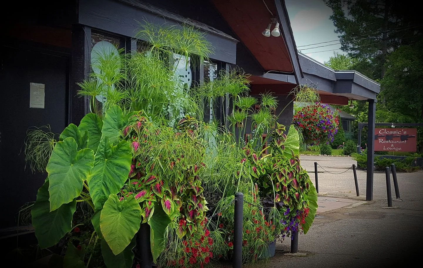 Classic's Restaurant & Lounge in Shawano, WI (2)