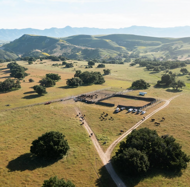 Zaca Creek Ranch in Buellton, CA (3)