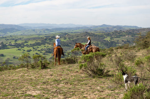 Zaca Creek Ranch in Buellton, CA (6)