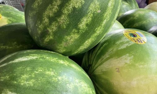 Risser Marvel Farm Market in Palmyra, PA (5)