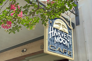 Harvest Moon Cafe in Rome, GA (2)