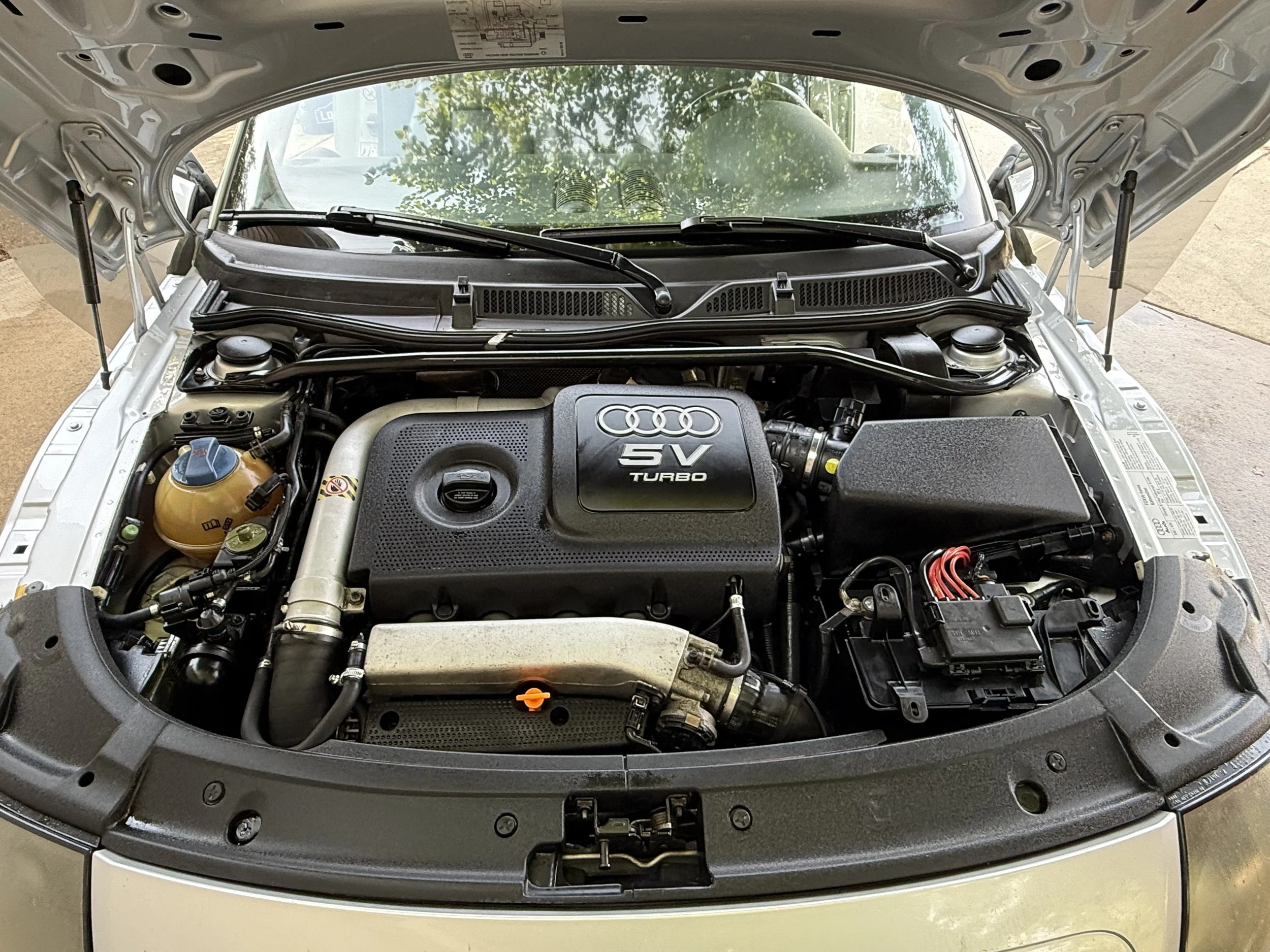 Goose’s Mobile Car Detailing - Ceramic Coatings, Paint Correction, Detailing in South Bend, IN (6)
