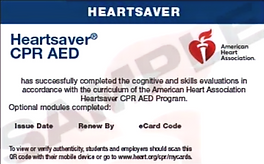 Impulse CPR Training Co. in Jenkintown, PA (2)