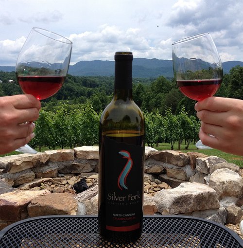 Silver Fork Winery in Morganton, NC (5)