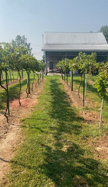 At The Barn Winery in Lawrenceburg, IN (3)