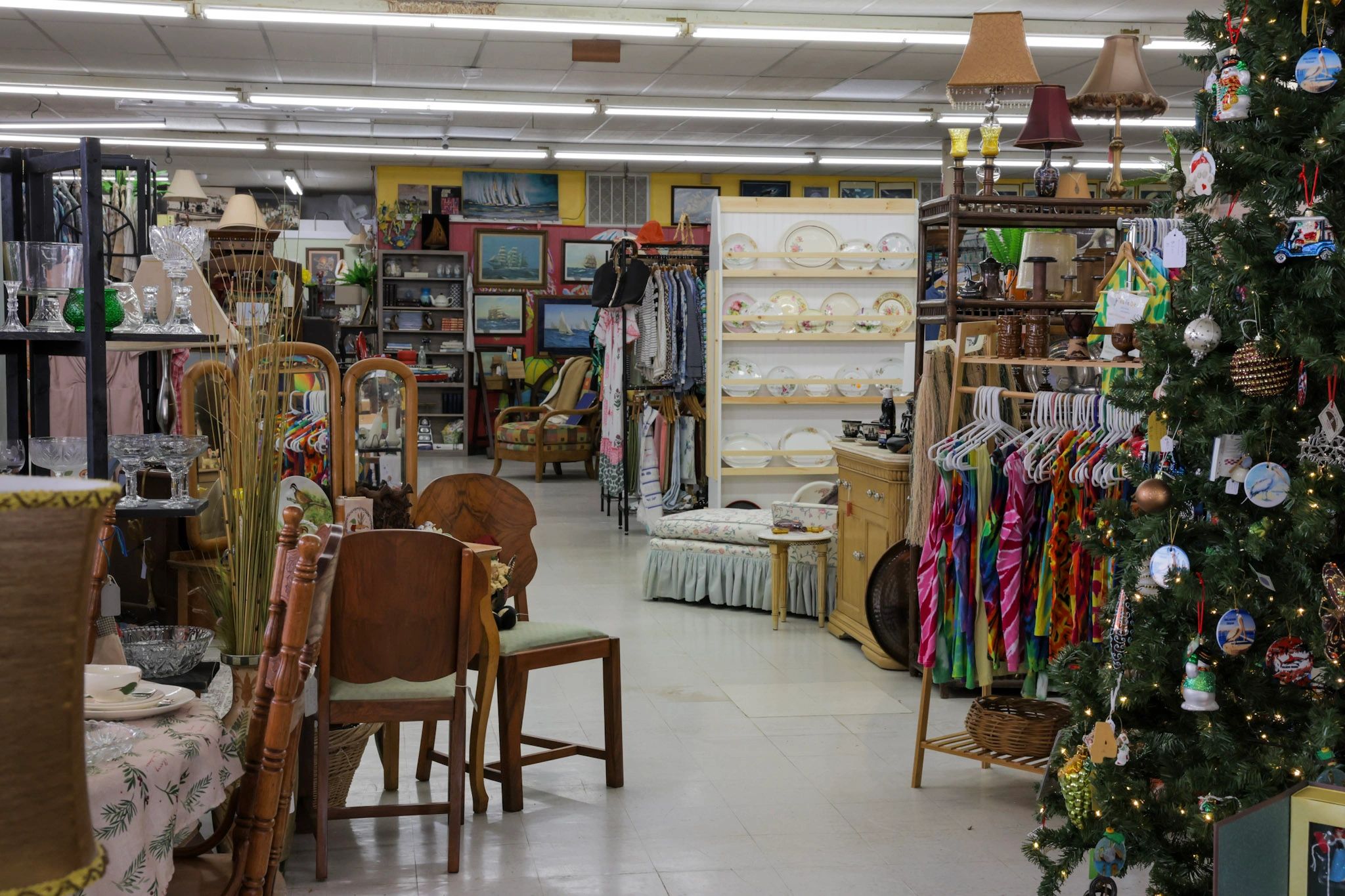Pirate Queen Designs LLC in Palacios, TX