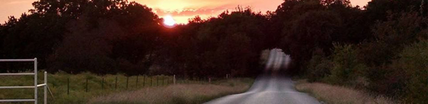AccountWise - Income Tax & Bookkeeping in Alvord, TX (3)