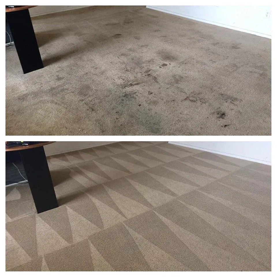 Royalty Carpet Cleaning LLC in Bakersfield, CA (5)