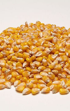 Rudy's Feed & Seed in Holmen, WI (3)