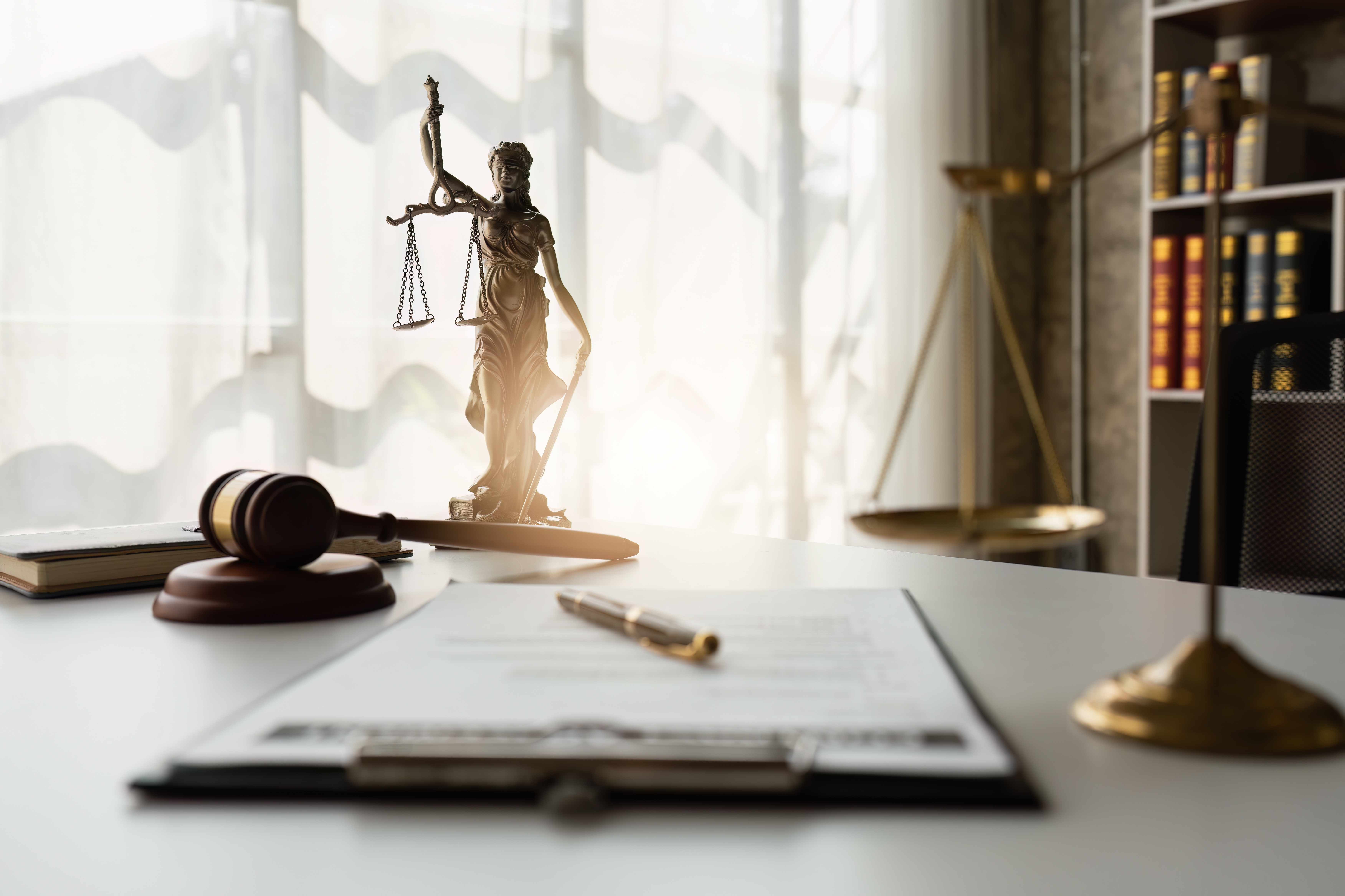 Law Office of Lindsay Vanik PLLC in Houston, TX (2)