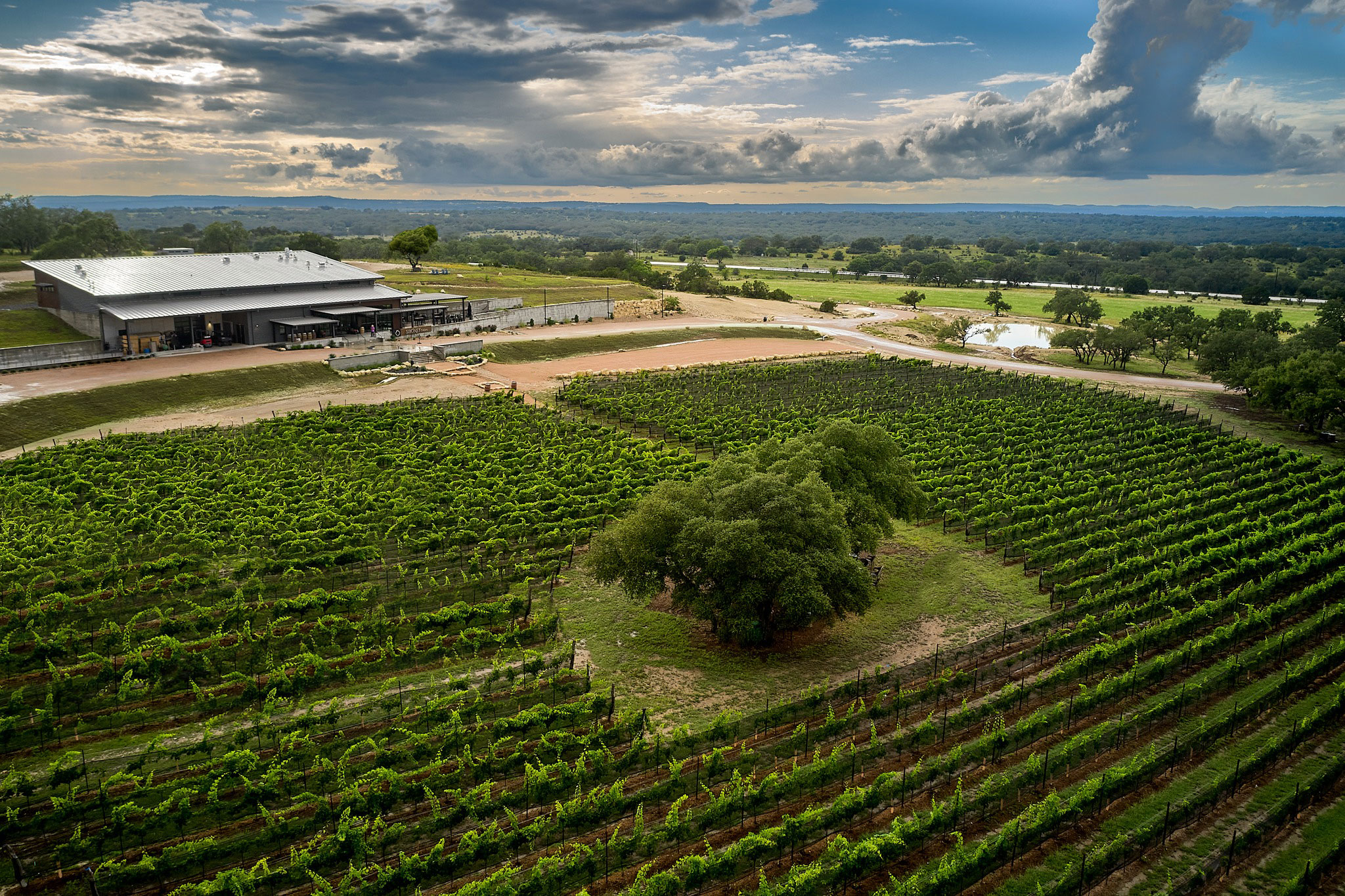 Siboney Cellars in Johnson City, TX