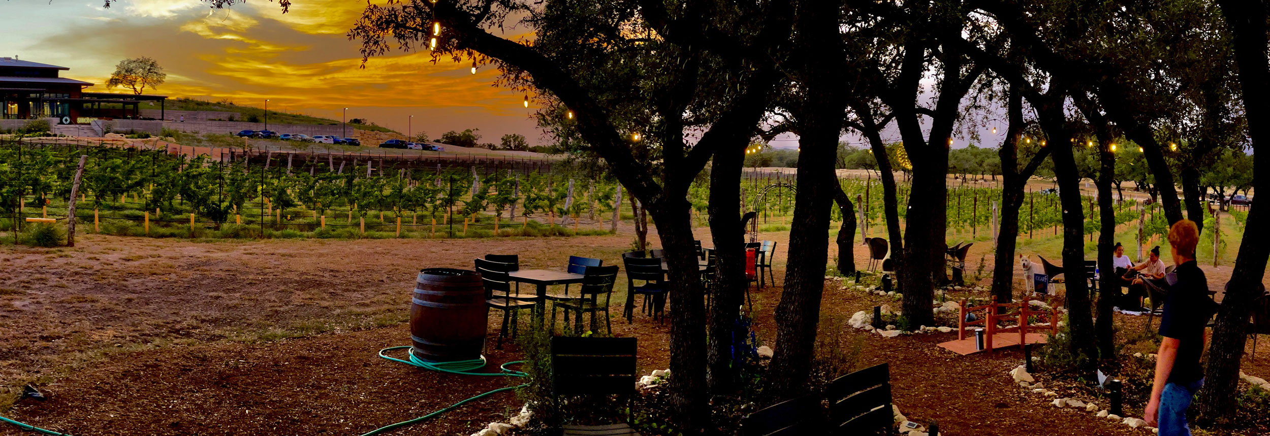 Siboney Cellars in Johnson City, TX (2)