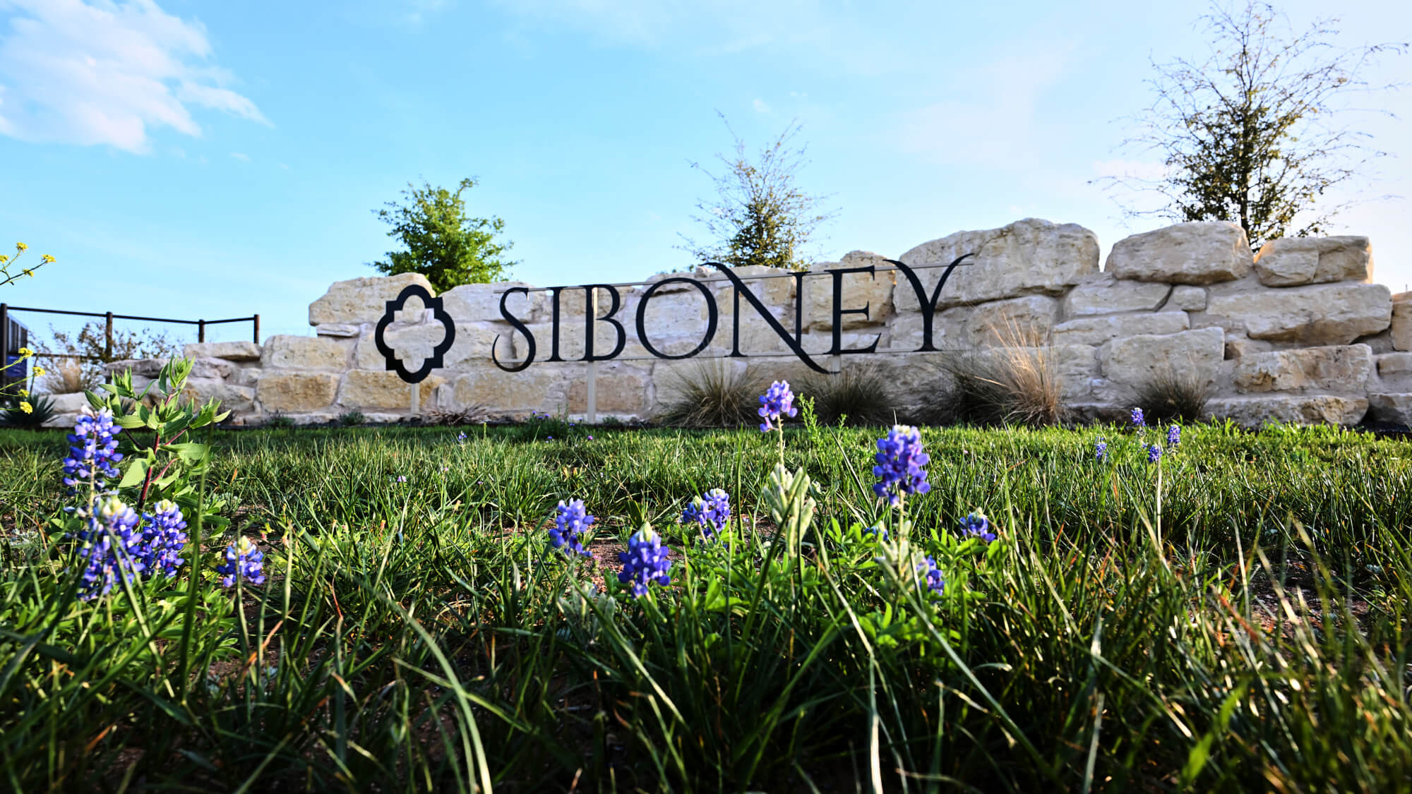 Siboney Cellars in Johnson City, TX (4)