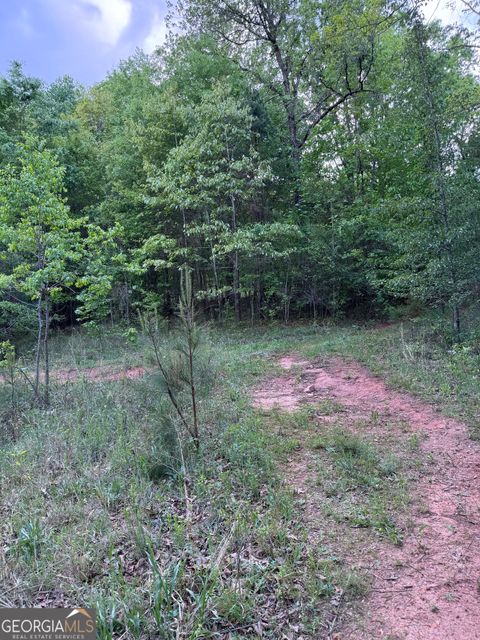 Talan Properties LLC in Toccoa, GA