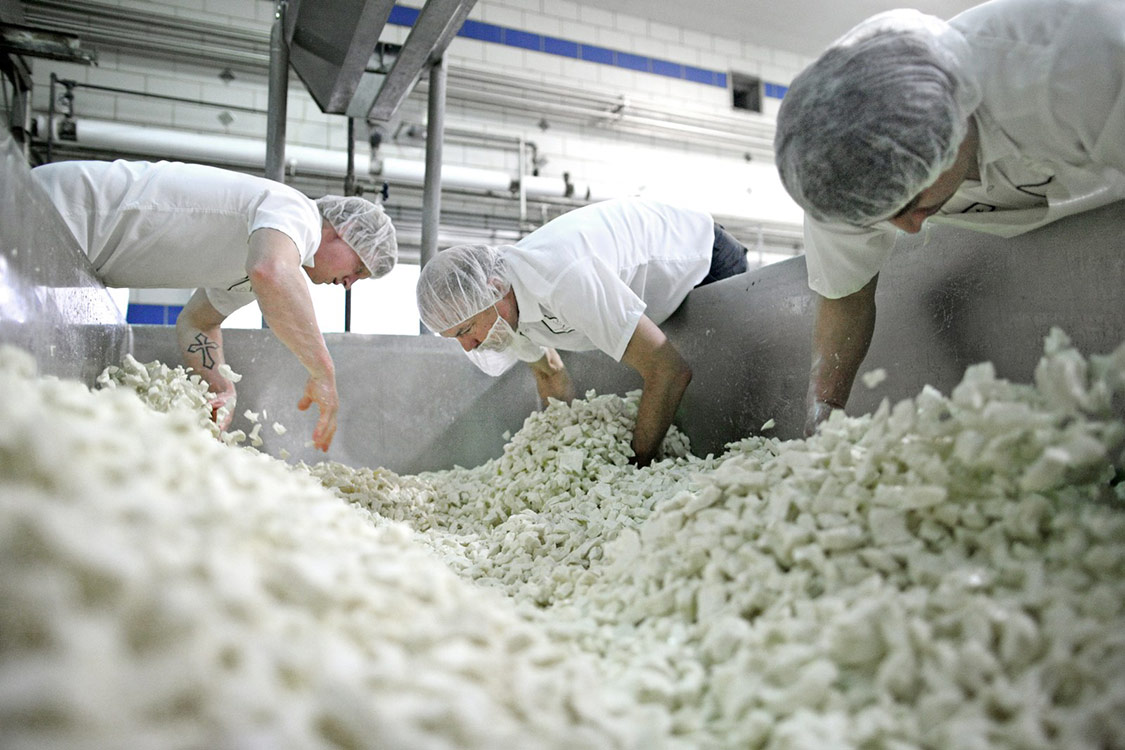 Decatur Dairy in Brodhead, WI