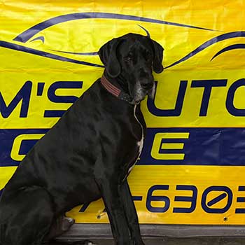 Jim's Auto Care in Hartville, OH (4)