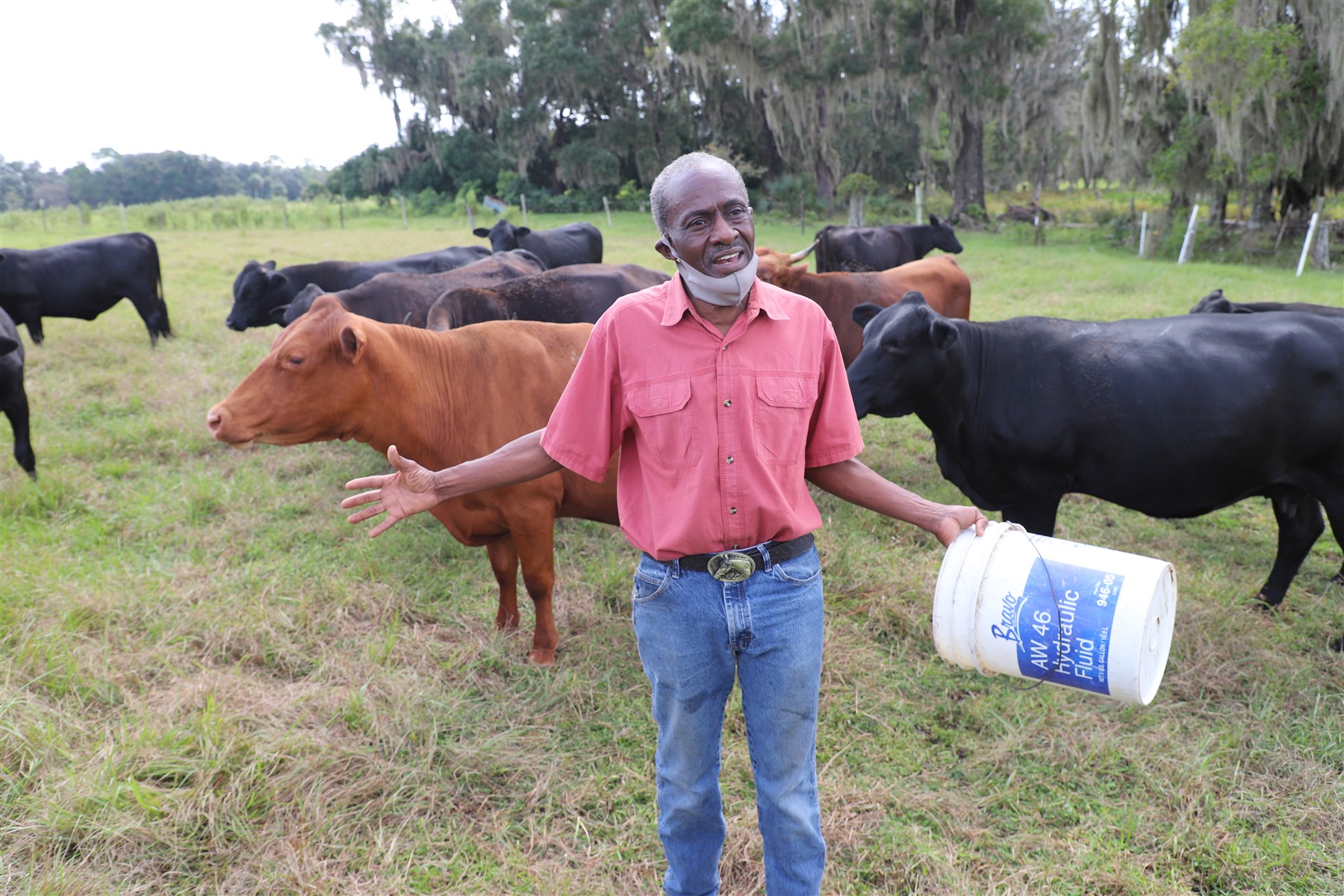 Nix Sustainable Beef Farm in Rochelle, FL