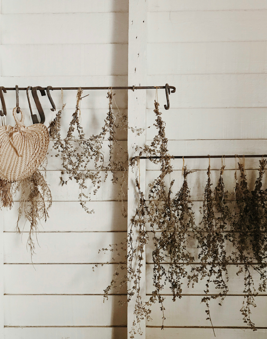 Rustic Beauty in Moultrie, GA (2)