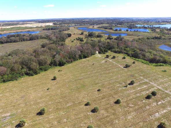 Florida Land Office in Bartow, FL