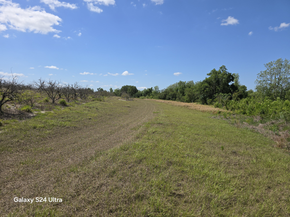Florida Land Office in Bartow, FL (2)