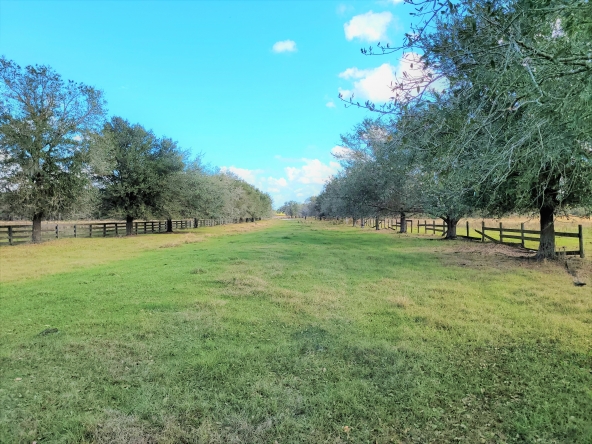 Florida Land Office in Bartow, FL (3)