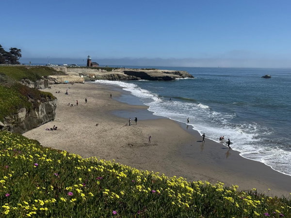 Alex Johnson, David Lyng Real Estate | Real Estate Agent in Capitola CA & Santa Cruz in Capitola, CA (2)