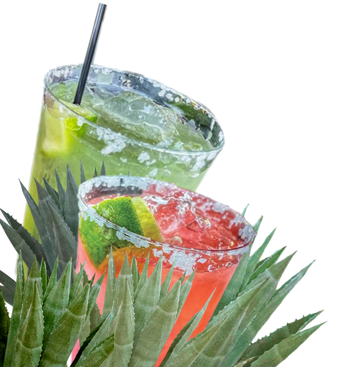Rasta Rita Margarita and Beverage Truck | Bartending Service in San Clemente in San Clemente, CA