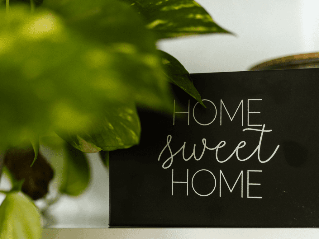 Dawn Brown, Realtor in Collinsville, VA