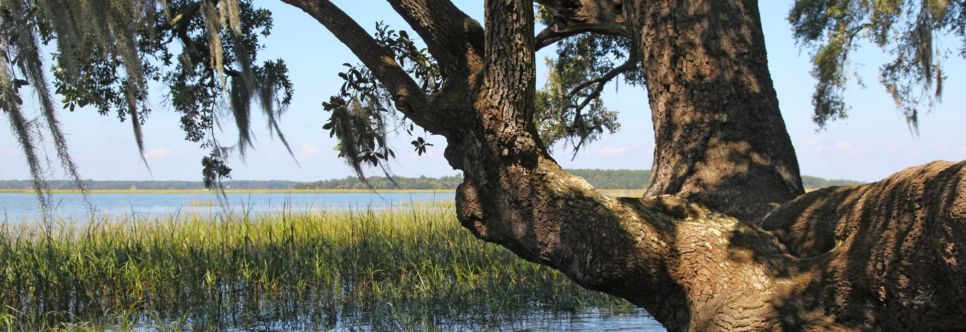 Hood Law Firm LLC in Charleston, SC (3)