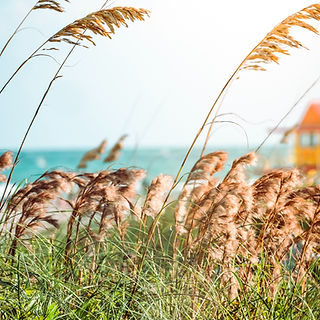 Kramer Kellerhouse, Chartered in Marco Island, FL (3)