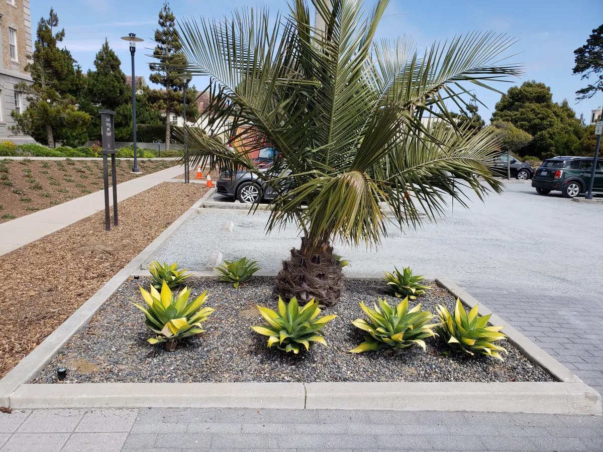 Full Spectrum Outdoor in Brentwood, CA (4)