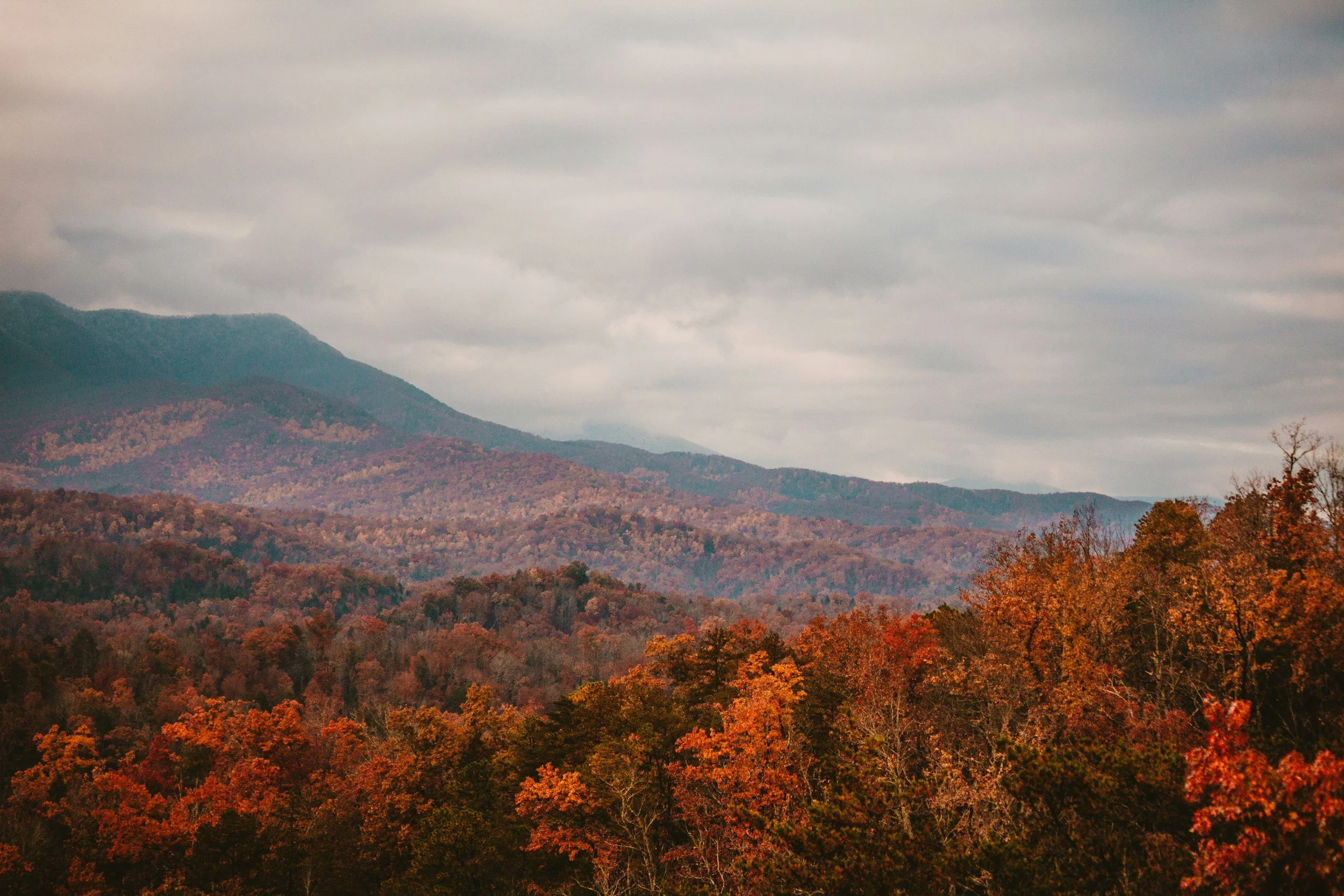DahloneGO in Dahlonega, GA (2)