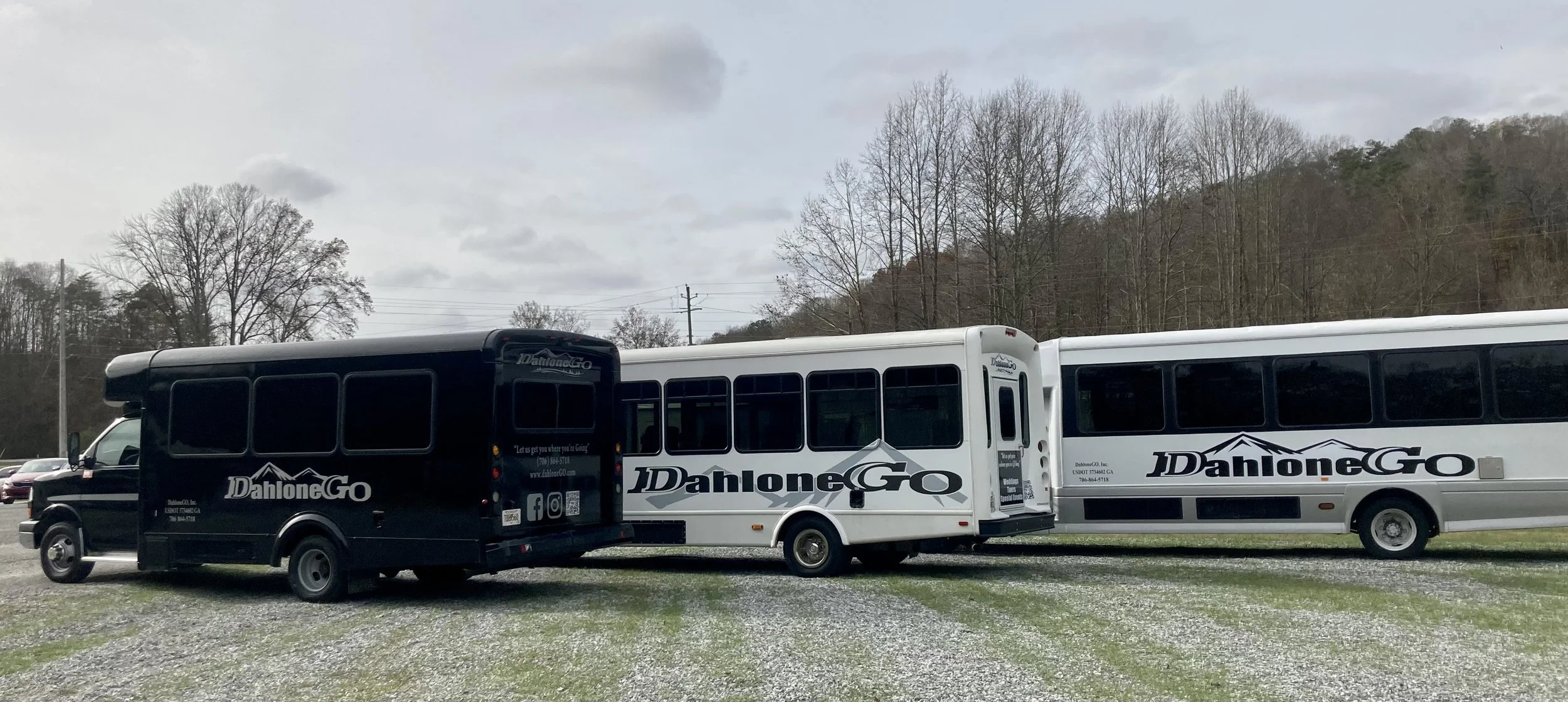 DahloneGO in Dahlonega, GA (3)