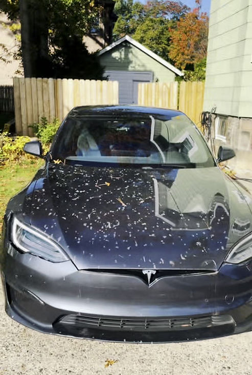 J&A's Elite Auto Detailing in Tenafly, NJ (2)
