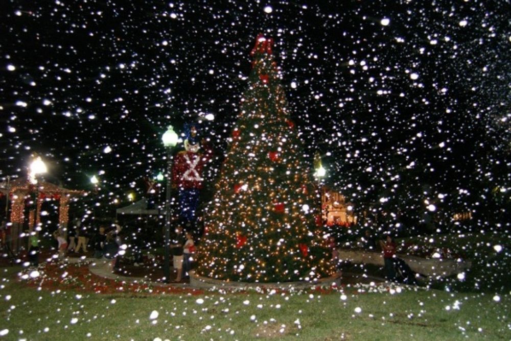 Crave the Fun — Dessert Truck, Snow Parties, Foam Parties & Bubble Fun in Plano, TX (5)