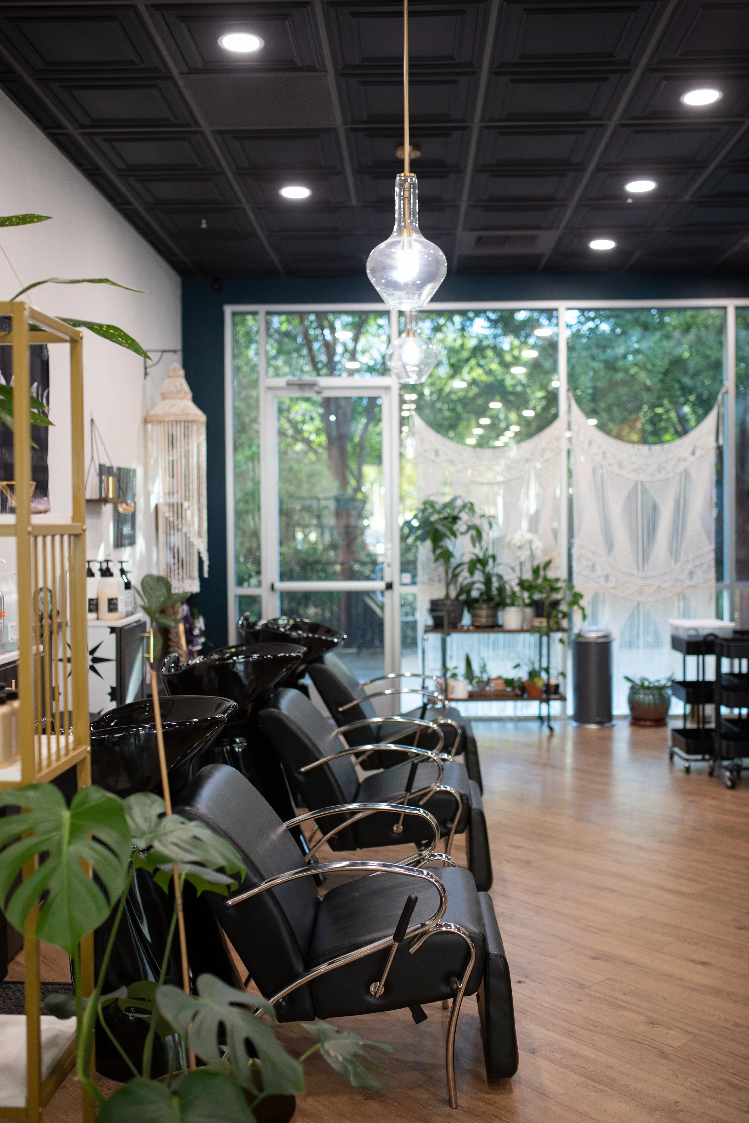 Lifted Salon in Folsom, CA (5)