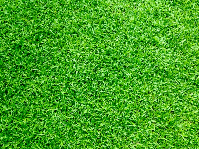 Plant It Earth, Inc. in Plant City, FL