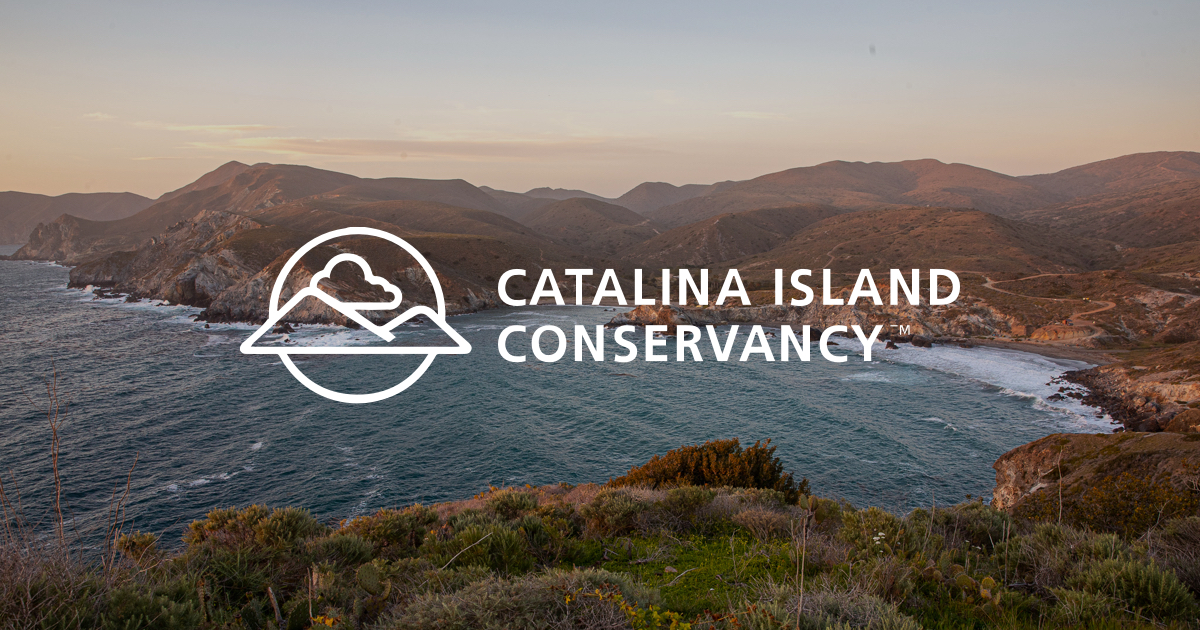 Eco-Tours Catalina Island Conservancy in Avalon, CA