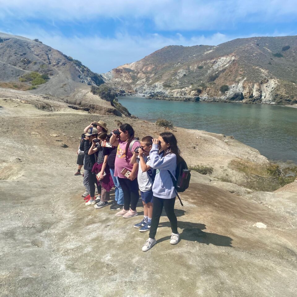 Eco-Tours Catalina Island Conservancy in Avalon, CA (4)