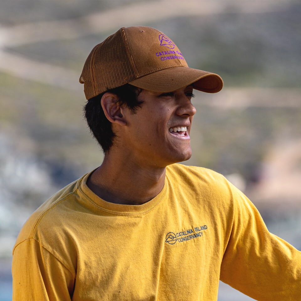 Eco-Tours Catalina Island Conservancy in Avalon, CA (5)