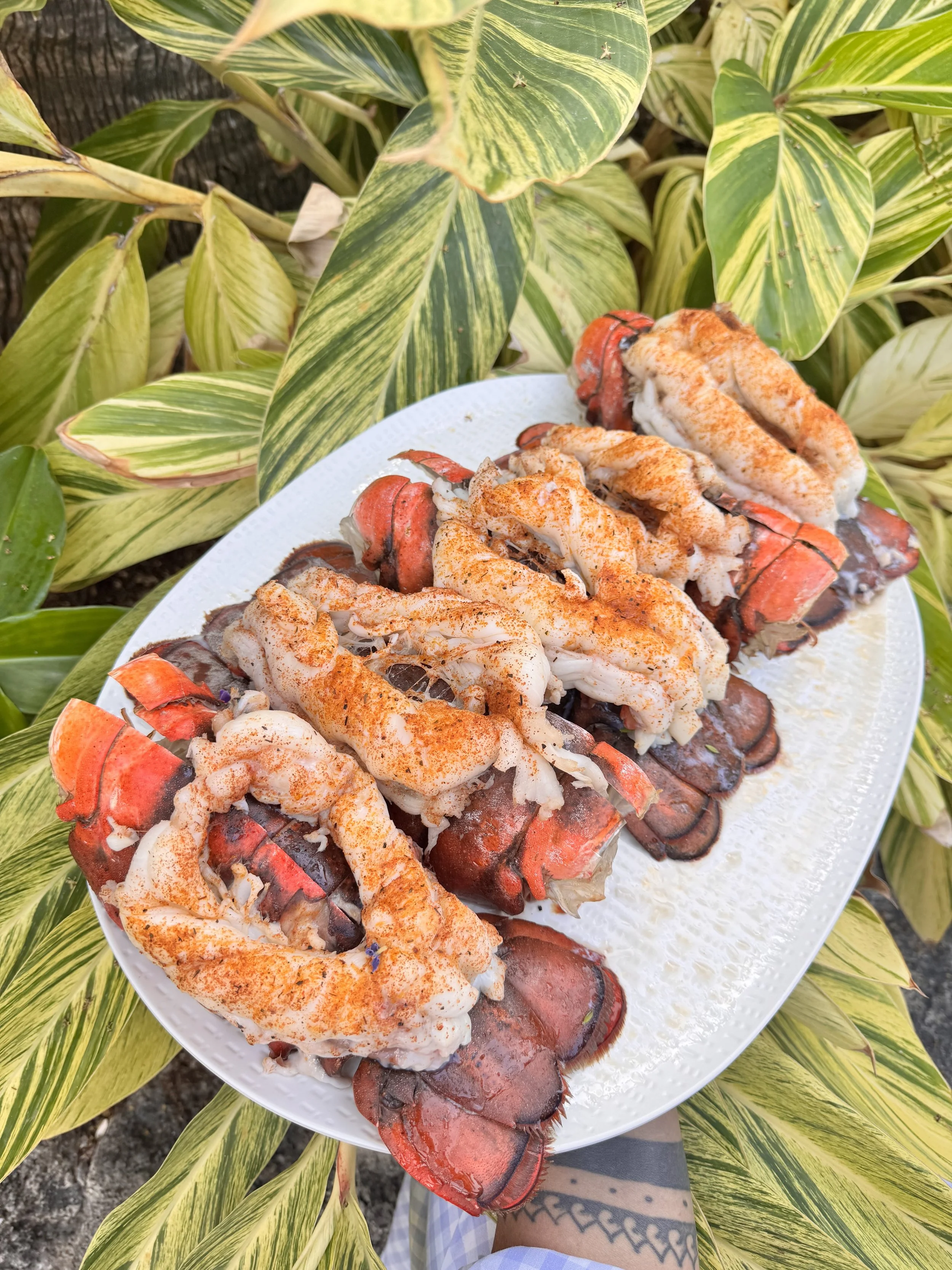 A Movable Feast in Islamorada, FL (2)