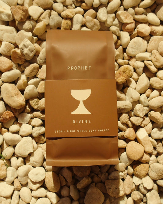 Prophet Coffee in North Charleston, SC (5)